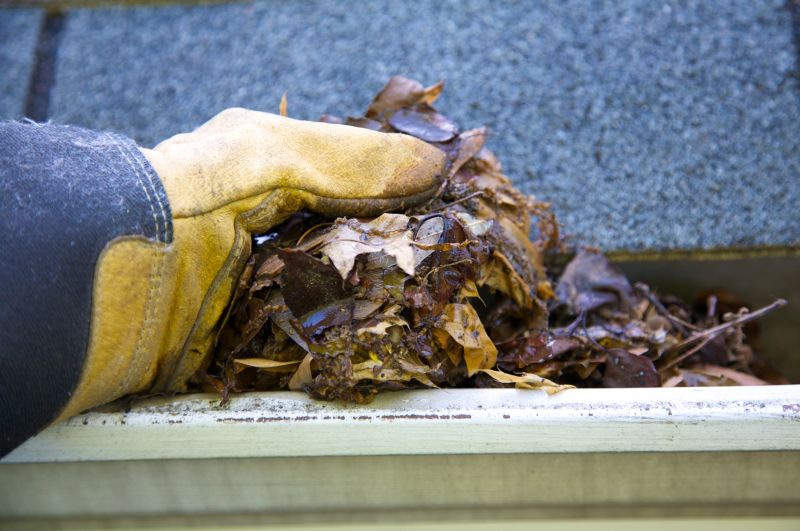 Gutter Leaves Removal in Baltimore, MD