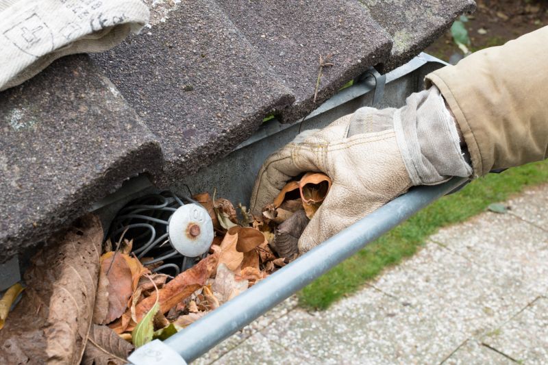 Gutter Maintenance in Longmont, CO